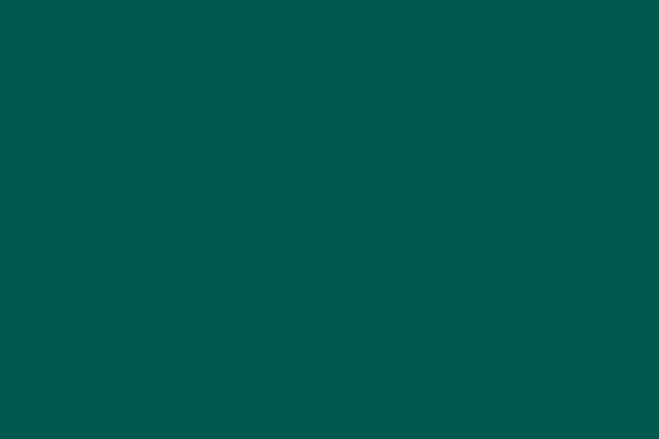 https://eif.gov.sa/wp-content/uploads/2022/05/team-green.jpg